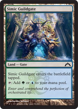 Magic: the Gathering - Simic Guildgate (246) - Gatecrash On Sale