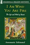 I Am Wind You Are Fire: The Life and Work of Rumi