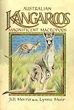 Australian kangaroos : magnificent macropods