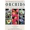 Orchid�es