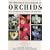The Illustrated Encyclopedia of Orchids