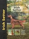 Irish Setter (Pet love)