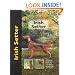 Irish Setter (Pet love)