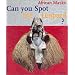 Can You Spot the Leopard?: African Masks (Adventures in Art)