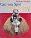 Can You Spot the Leopard?: African Masks (Adventures in Art)