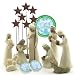 Willow Tree 10 Piece Starter Nativity Set By Susan Lordi with Go Green! Compressed Bamboo Towels