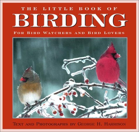 Birding