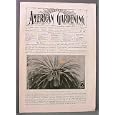 American Gardening A Weekly Journal Devoted to Gardening and Fruit Culture 1897 by A. T. De La Mare