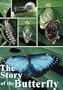 The Story of the Butterfly