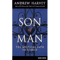 Son of Man: The Mystical Path to Christ