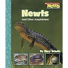 Newts And Other Amphibians (Scholastic News Nonfiction Readers) by Mary Schulte