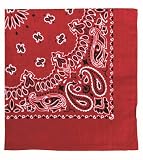 Red Trainmen Bandana