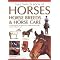 learn to ride a horse.  The Adult Beginners Guide