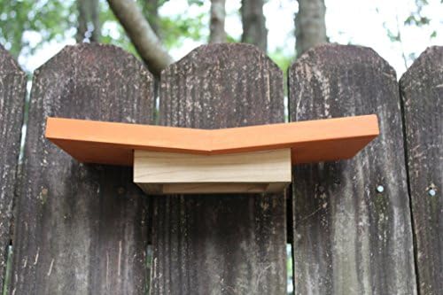 The Ledge | A Modern Nesting Ledge, Birdhouse, Nesting Platform, Nesting Shelf for Robins, Phoebes, and Mourning Doves