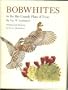 Bobwhites in the Rio Grande Plain of Texas