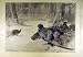 1895 Wintry Morning Thorburn Fine Art Print Pheasants