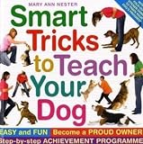 Smart Tricks to Teach Your Dog