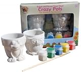 Paint and Grow Your Own Crazy Pots