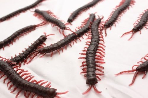 Five set fake imitation goods jokes toxic scolopendrid centipede welcome party blind date party radical Candid cockroach bushy caterpillar centipede human mischief! Centipede (japan import)