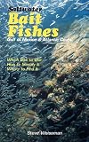 Florida Saltwater Game Fishes