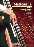 Mathematik plus 10. Sch�lerbuch. Brandenburg. Euro-Ausgabe