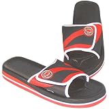 My Team South Carolina Gamecocks Slides