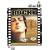 ���b�L�[�q���ʕҁr [DVD]