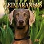 Weimaraners 2004 Calendar