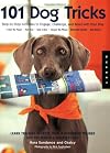 101 Ways to Do More with Your Dog: Make Your Dog a Superdog with Sports, Games, Exercises, Tricks, Mental Challenges, Crafts, and Bonding