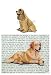 Cocker Spaniel (Buff) Glass Cutting Board