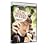Young Sherlock Holmes [DVD] [1986]