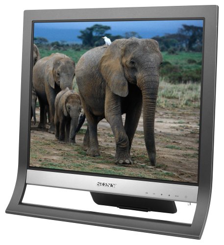 Sony SDM-HS75/B 17 LCD Monitor (Black)