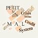 Crisis in Credit System