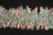 9' x 10" Pre-Lit Iridescent Shimmer Artificial Christmas Garland - Multi Lights