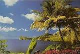 Castaway 3943 Wall Mural