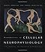 Foundations of Cellular Neurophysiology