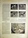 Kennel Club Show Crystal Palace Dogs Bernard Print 1901