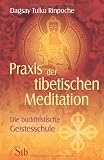 Praxis der Tibetischen Meditation: Die buddhistische Geistesschule - Dagsay Tulku