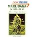 Marijuana Indoors: Five Easy Gardens