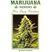 Marijuana Indoors: Five Easy Gardens
