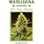 Marijuana Indoors: Five Easy Gardens