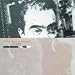 Life's Rich Pageant