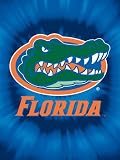 Florida Gators NCAA Tye Dye Raschel Blanket/ Throw 60 x 80