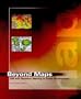 Beyond Maps: GIS Decision Making in Local Government