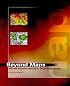 Beyond Maps: GIS Decision Making in Local Government