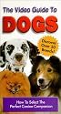 Video Guide to Dogs (W/Breed Charts) [VHS]