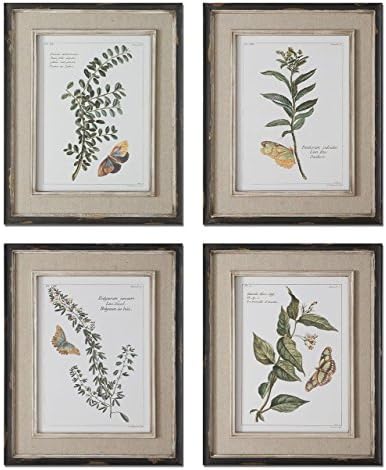 Botanical Butterfly Prints Wall Art | Antique Vintage Style Artwork
