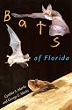 Bats of Florida