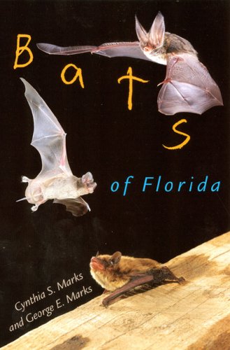 Bats