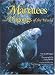 Manatees and Dugongs of the World